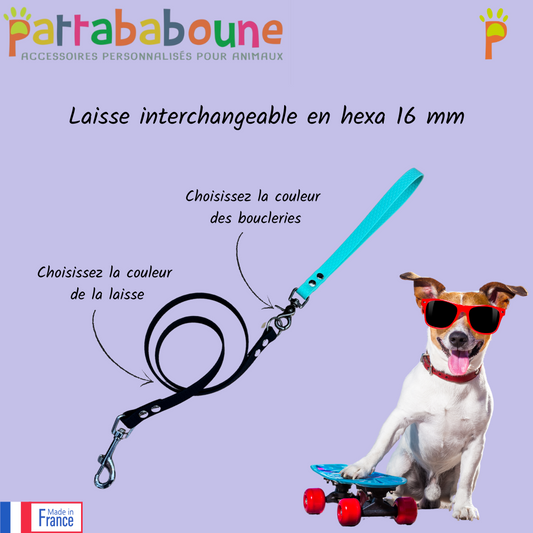 Laisse interchangeable personnalisée en hexa 16 mm