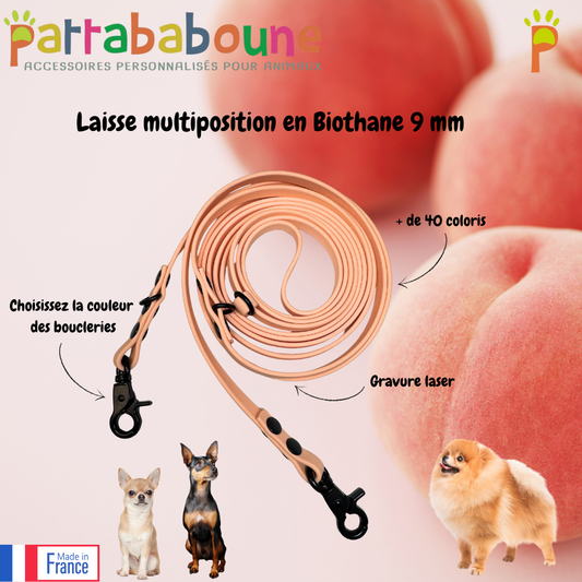 Laisse multiposition personnalisée en biothane 9 mm