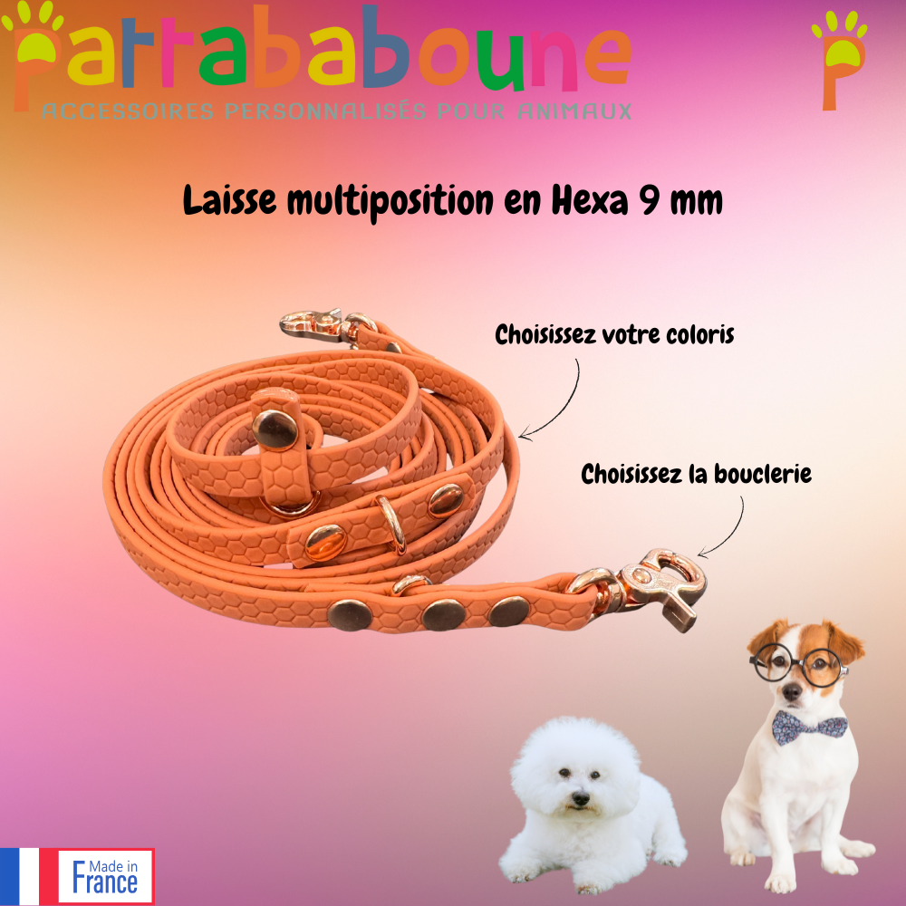 Laisse multiposition personnalisée en Hexa 9 mm