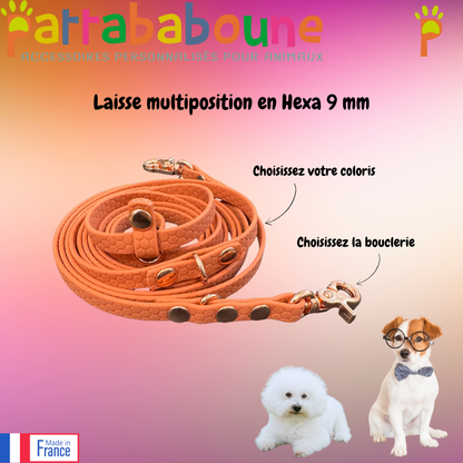 Laisse multiposition personnalisée en Hexa 9 mm
