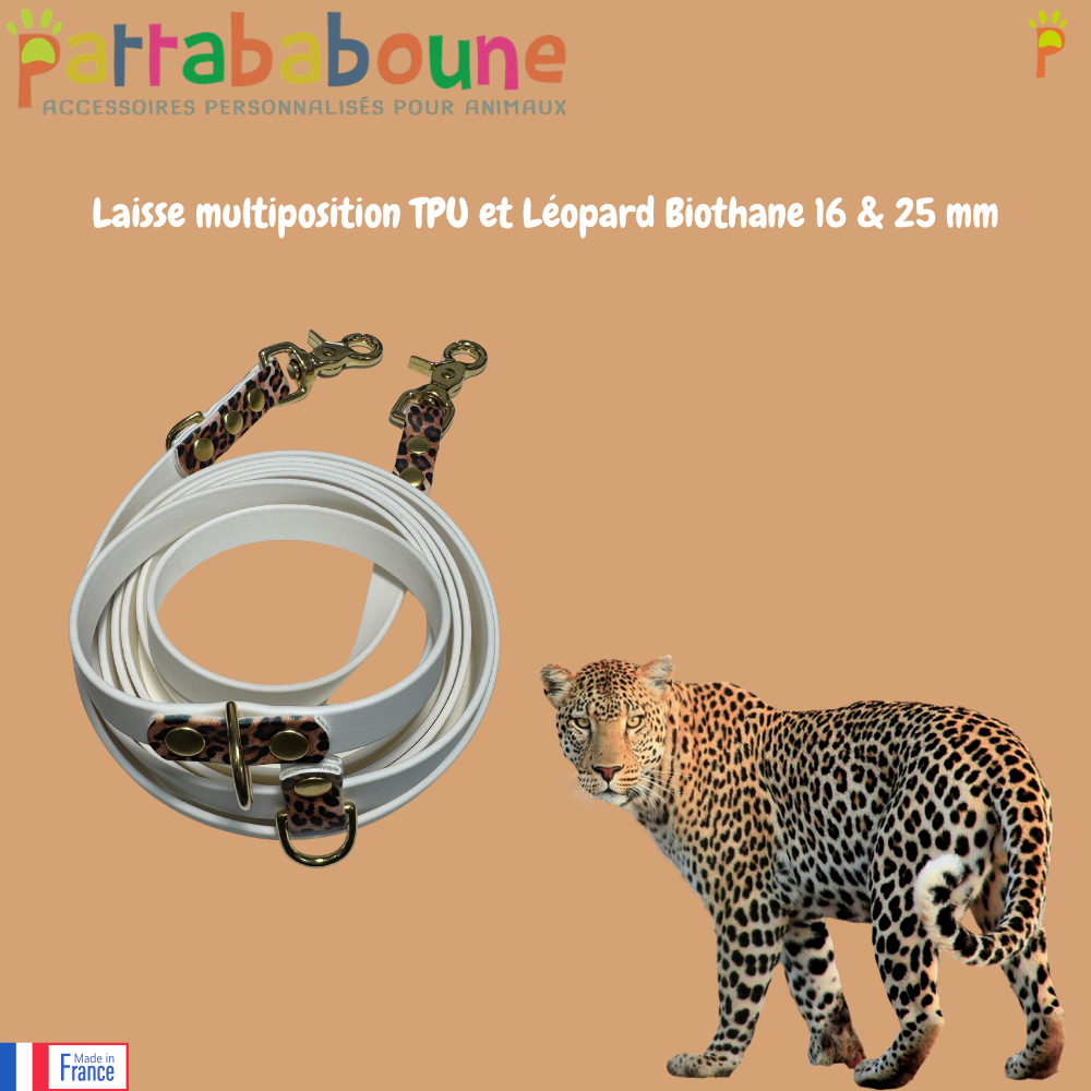 Laisse multiposition personnalisée pour chien - TPU 16 & 25 mm - Léopard Biothane