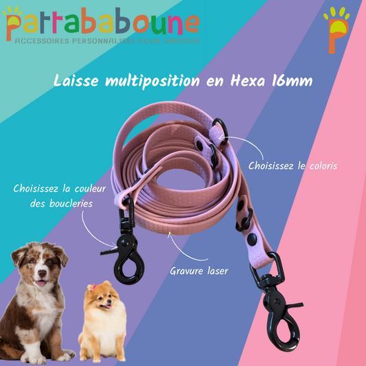 Laisse multiposition personnalisée en hexa 16 mm