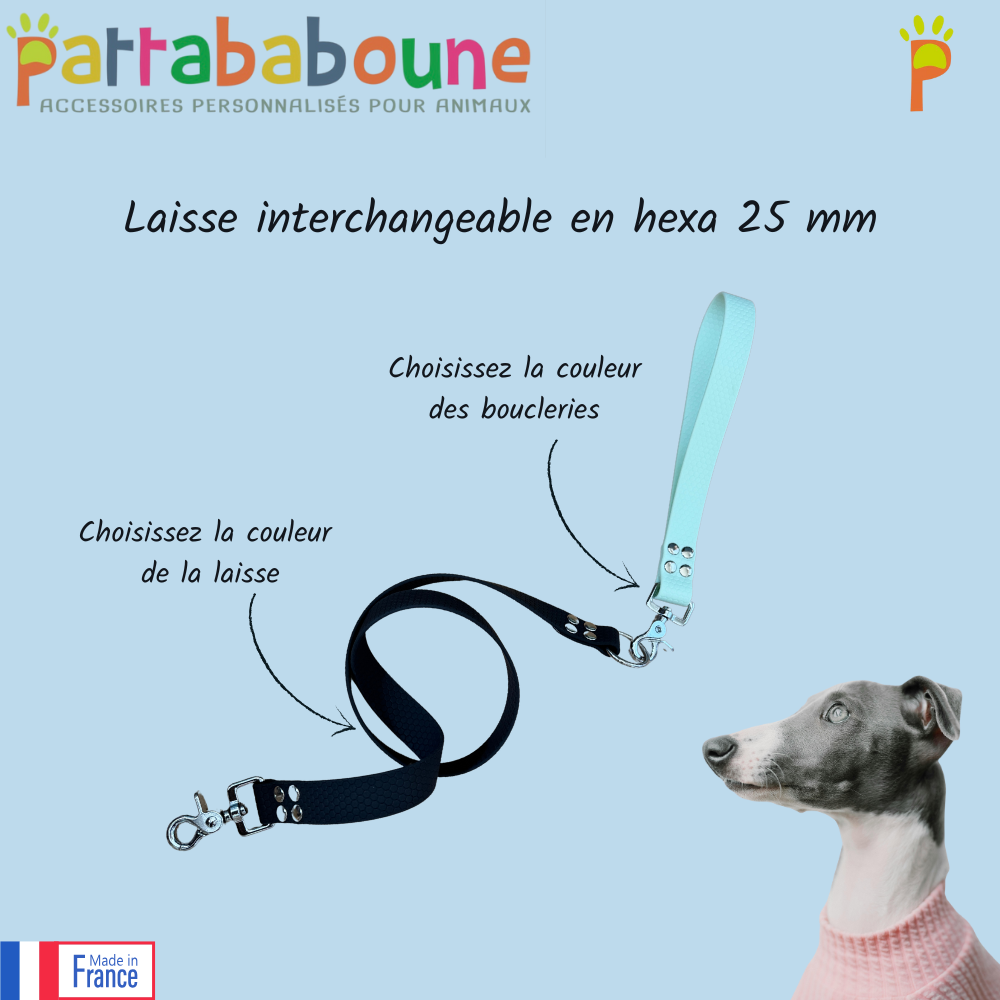 Laisse interchangeable personnalisée en hexa 25 mm