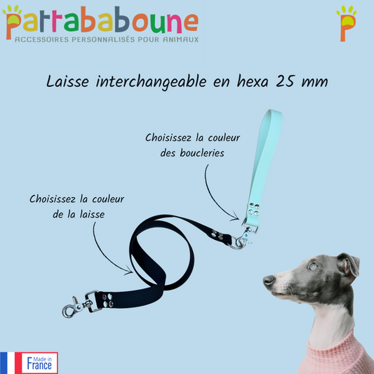 Laisse interchangeable personnalisée en hexa 25 mm