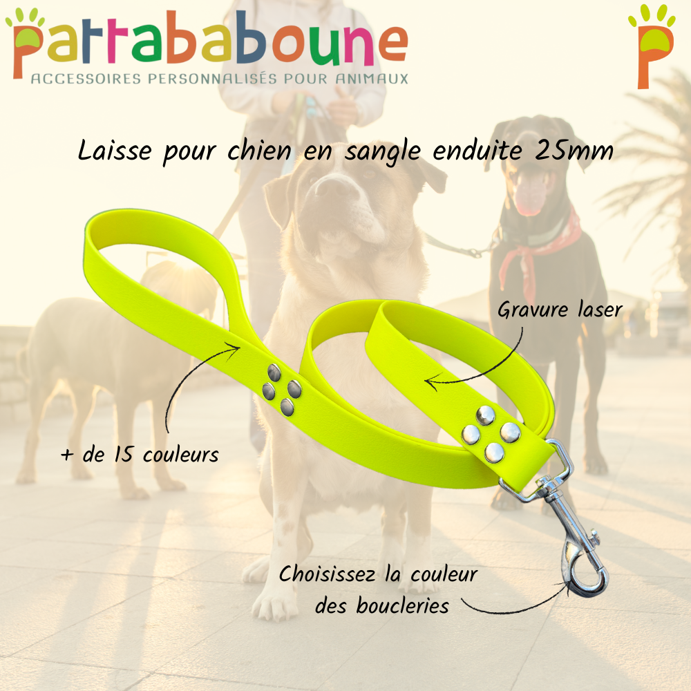 Laisse personnalisée en sangle enduite 25mm