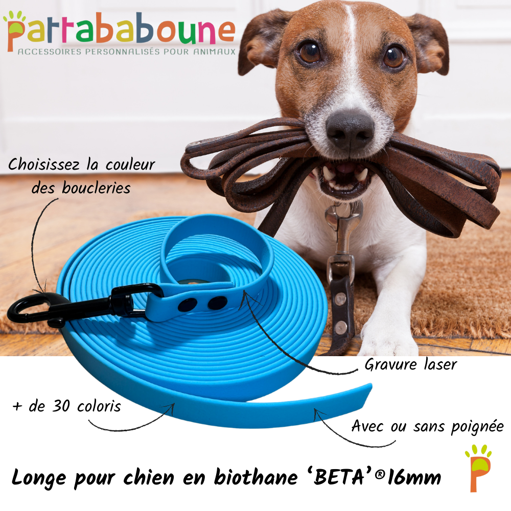 Longe chien personnalisable en biothane 16mm