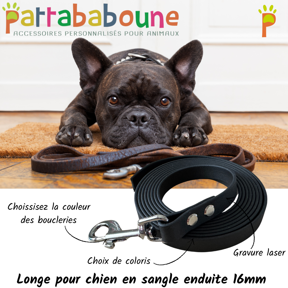 Longe chien personnalisé en sangle enduite 16mm