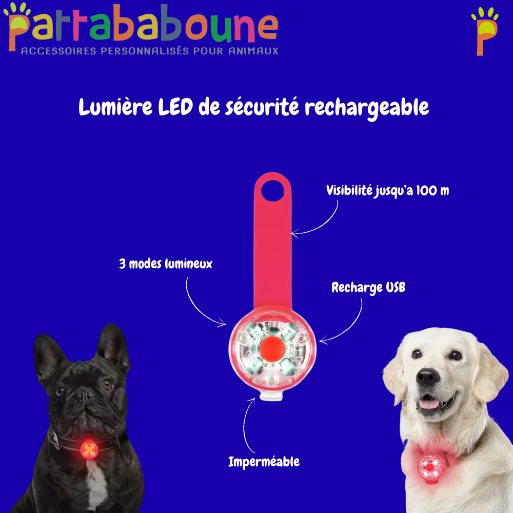 Lumière LED sécurité pour chien et chat