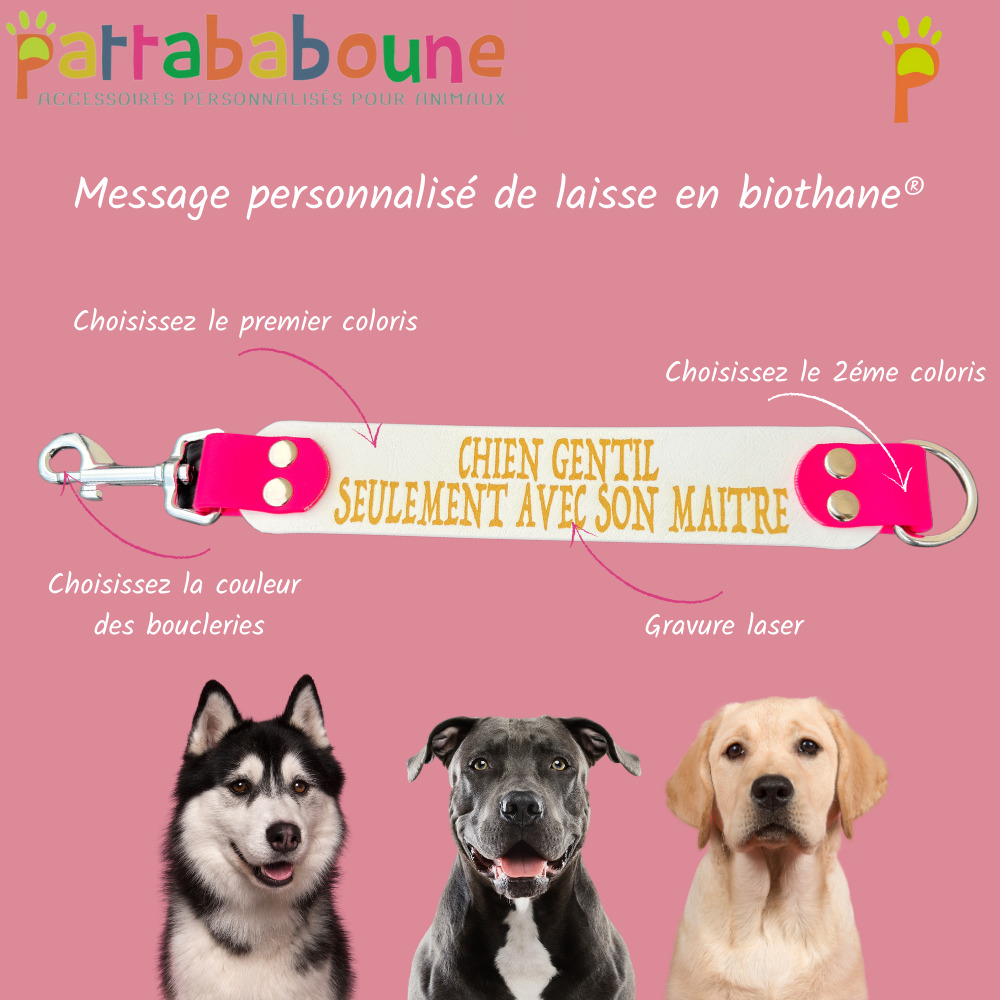 Extension de laisse avec message personnalisé en biothane 38 mm