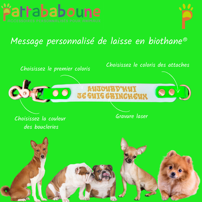 Extension de laisse avec message personnalisé en biothane 25 mm