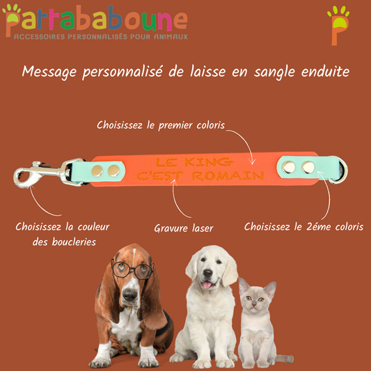 Extension de laisse avec message personnalisé en sangle TPU 25mm