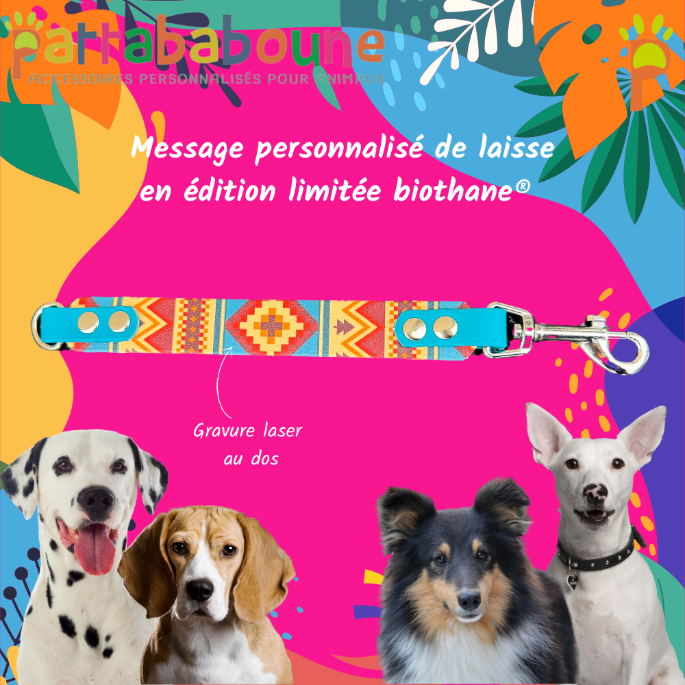 Extension de laisse avec message personnalisé pour chien - Biothane 25 mm édition limitée