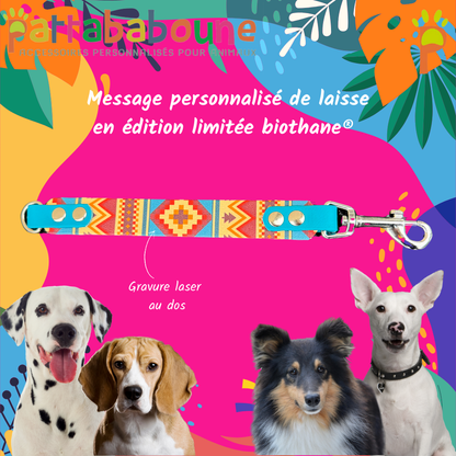 Extension de laisse avec message personnalisé pour chien - Biothane 25 mm édition limitée