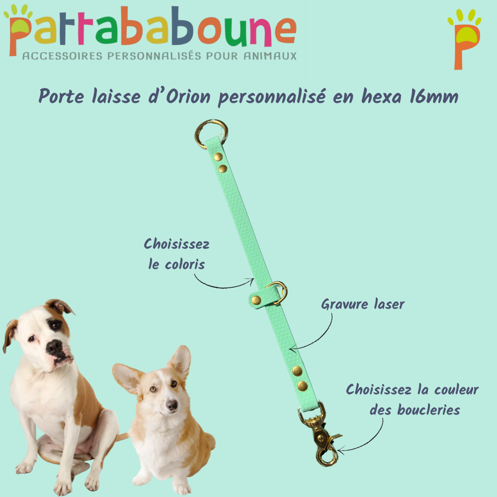 Porte-laisse d'Orion personnalisée en hexa 16 mm