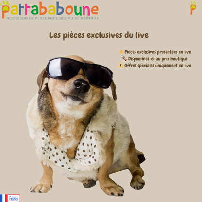 Retrouvez ici les pièces exclusives du live encore disponibles