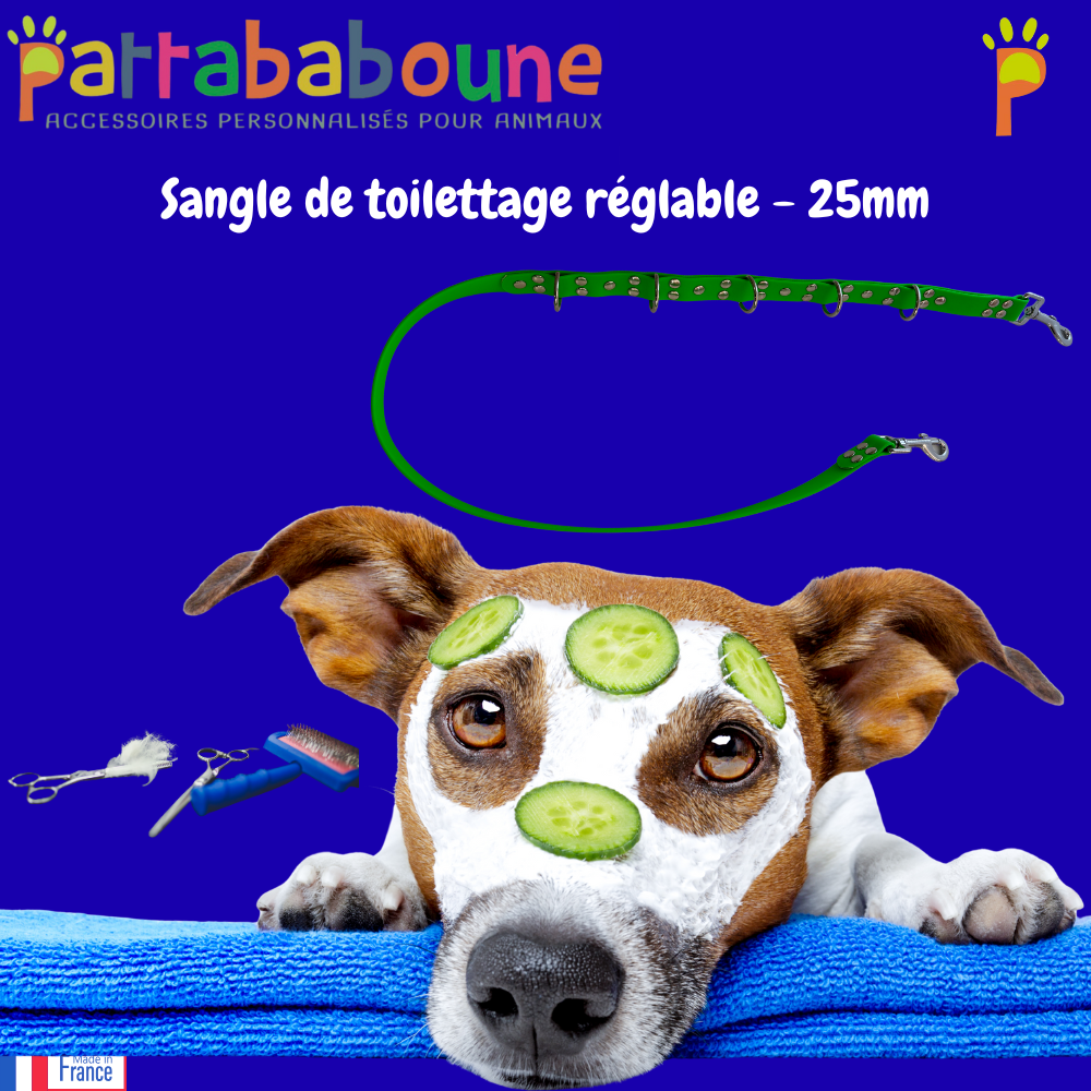 Sangle de toilettage réglable - Biothane 25 mm