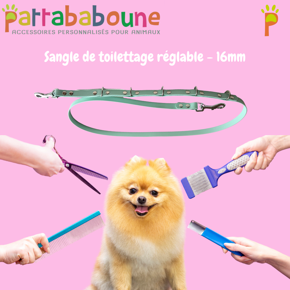 Sangle de toilettage réglable - Biothane 16 mm