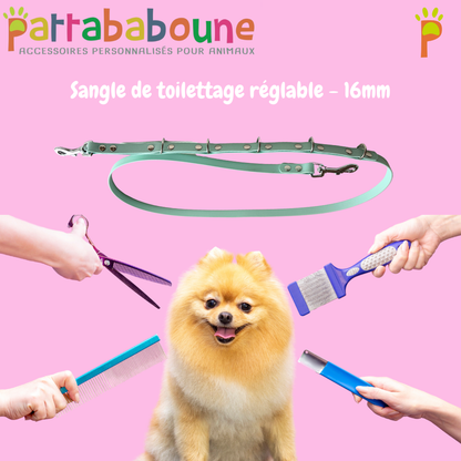 Sangle de toilettage réglable - Biothane 16 mm