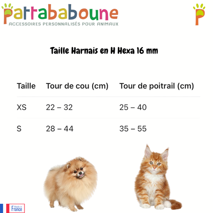 Harnais en H personnalisé pour chien en hexa 16 mm
