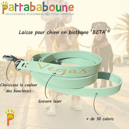 Laisse personnalisée en biothane 16 mm