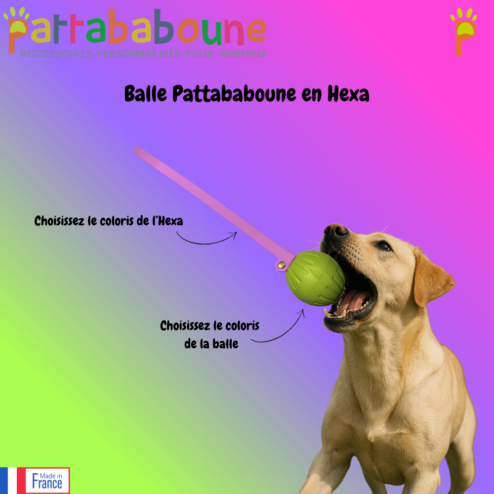 Balle Pattababoune pour chien - Lancer & jeux aquatiques