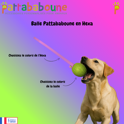 Balle Pattababoune pour chien - Lancer & jeux aquatiques