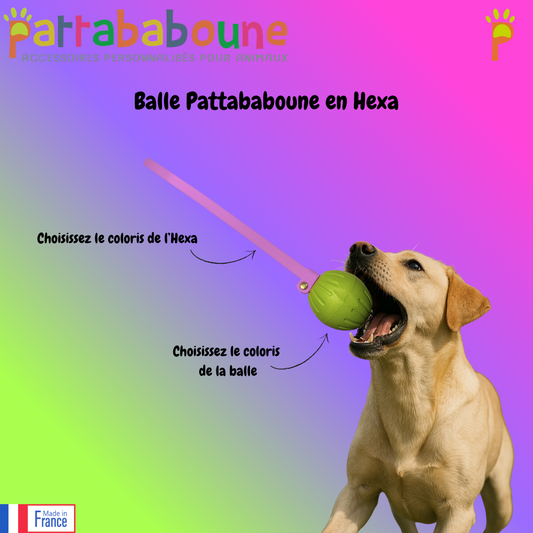 Balle Pattababoune pour chien - Lancer & jeux aquatiques