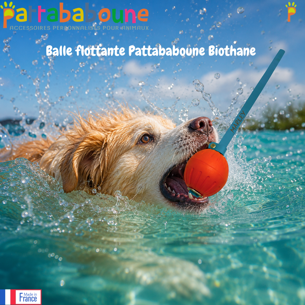 Balle flottante Pattababoune pour chien bande en Biothane - Lancer & jeux aquatiques