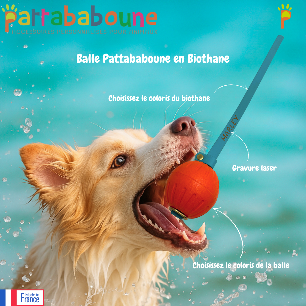 Balle Pattababoune pour chien - Lancer & jeux aquatiques