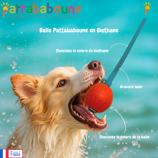 Balle Pattababoune pour chien - Lancer & jeux aquatiques