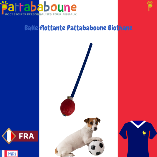 Balle flottante Pattababoune pour chien bande en Biothane - Lancer & jeux aquatiques
