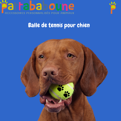 Balle tennis pour chien - Compatible porte-balle Pattababoune