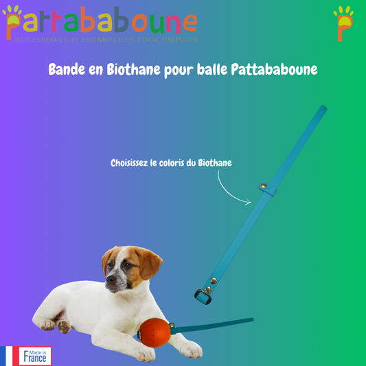 Bande de rechange pour balle Pattababoune - Biothane 16 mm