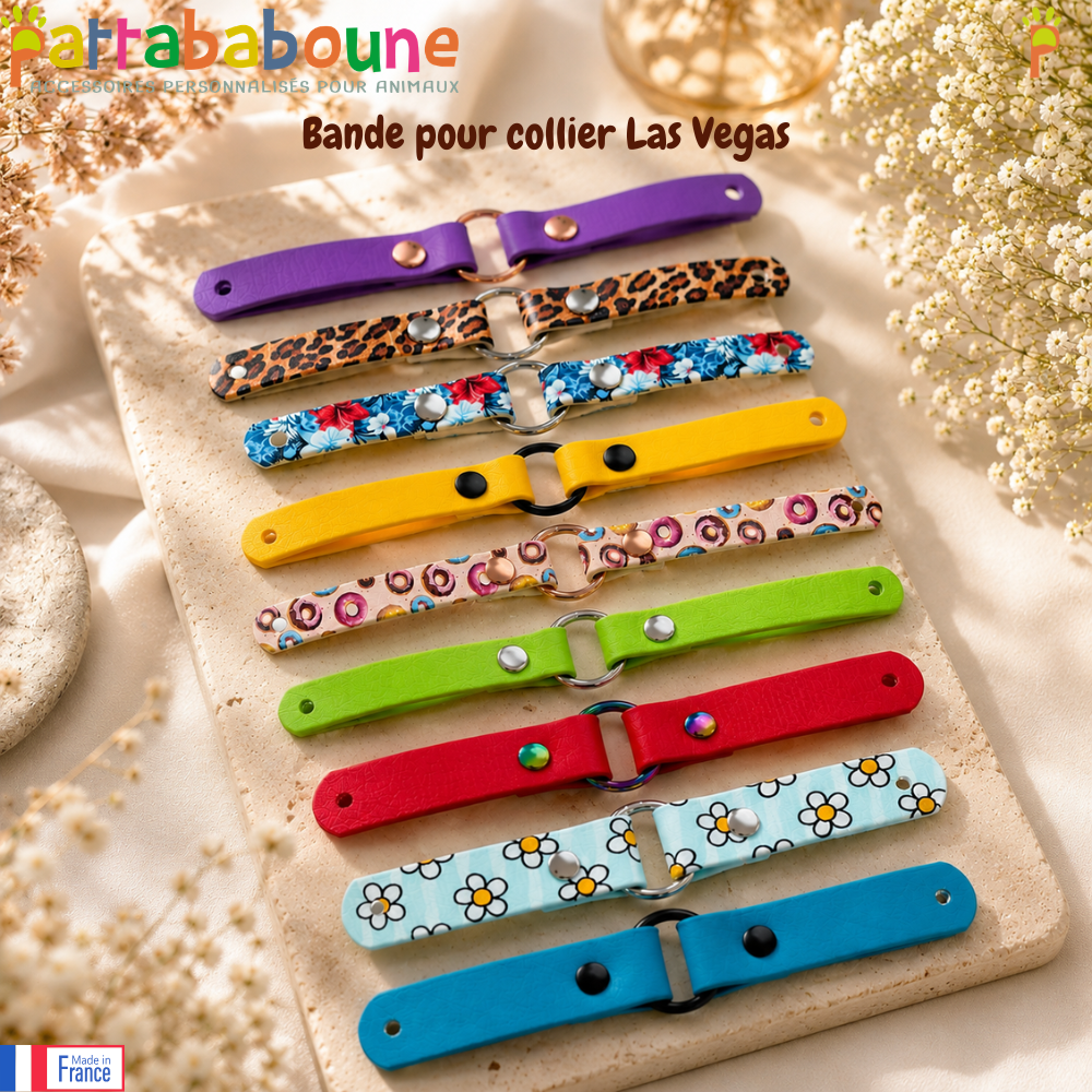 Bande Las Vegas pour collier  - 16 & 25 mm