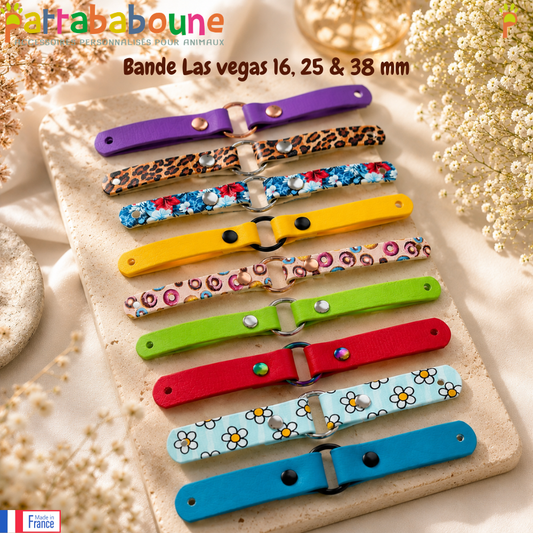 Bande pour collier & laisse Las Vegas  - 16, 25 et 38 mm