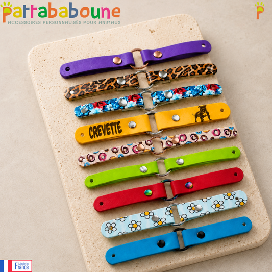 Bande pour collier & laisse Las Vegas pour chien - 16 & 25 mm