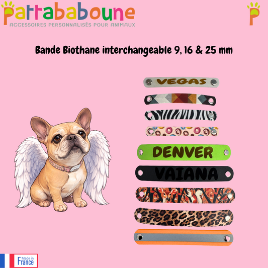 Bande interchangeable spéciale Végas - Biothane 9,16 & 25 mm