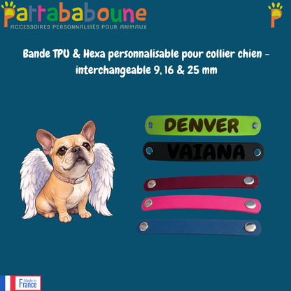 Bande interchangeable spéciale Végas - TPU & Hexa 9, 16 & 25 mm