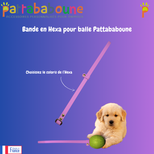 Bande de rechange pour balle Pattababoune - Hexa 16 mm