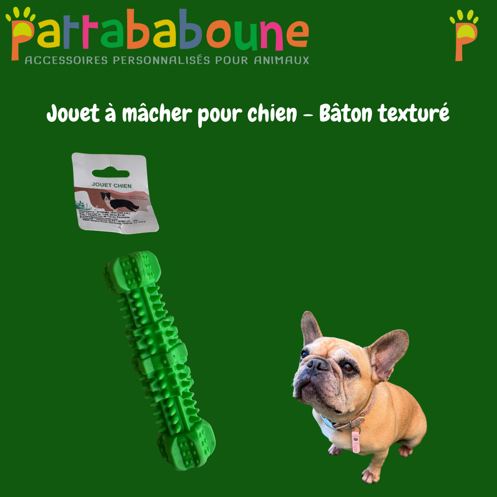 Jouet à mâcher pour chien - Bâton texturé à picots