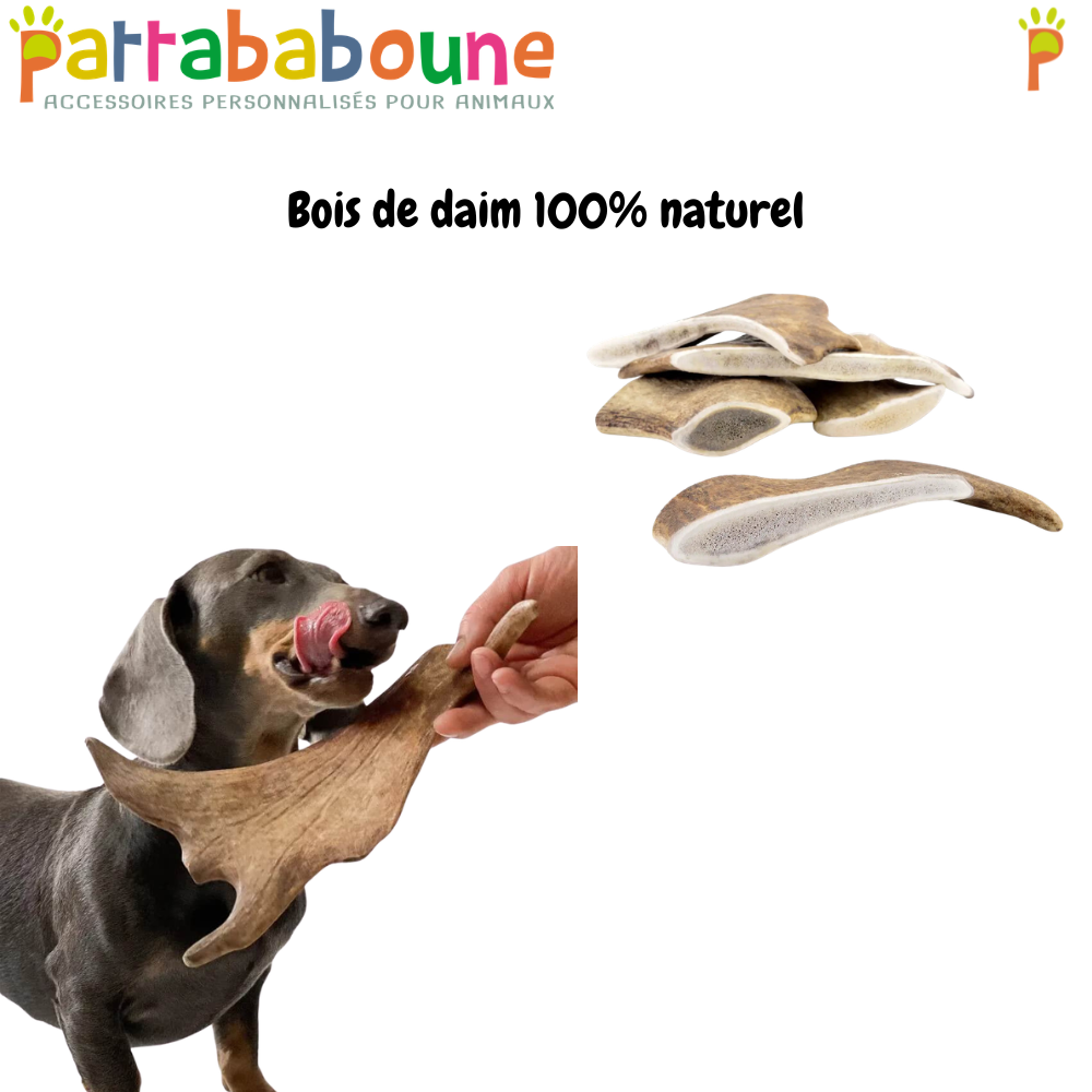 Bois de daim 100 % naturel