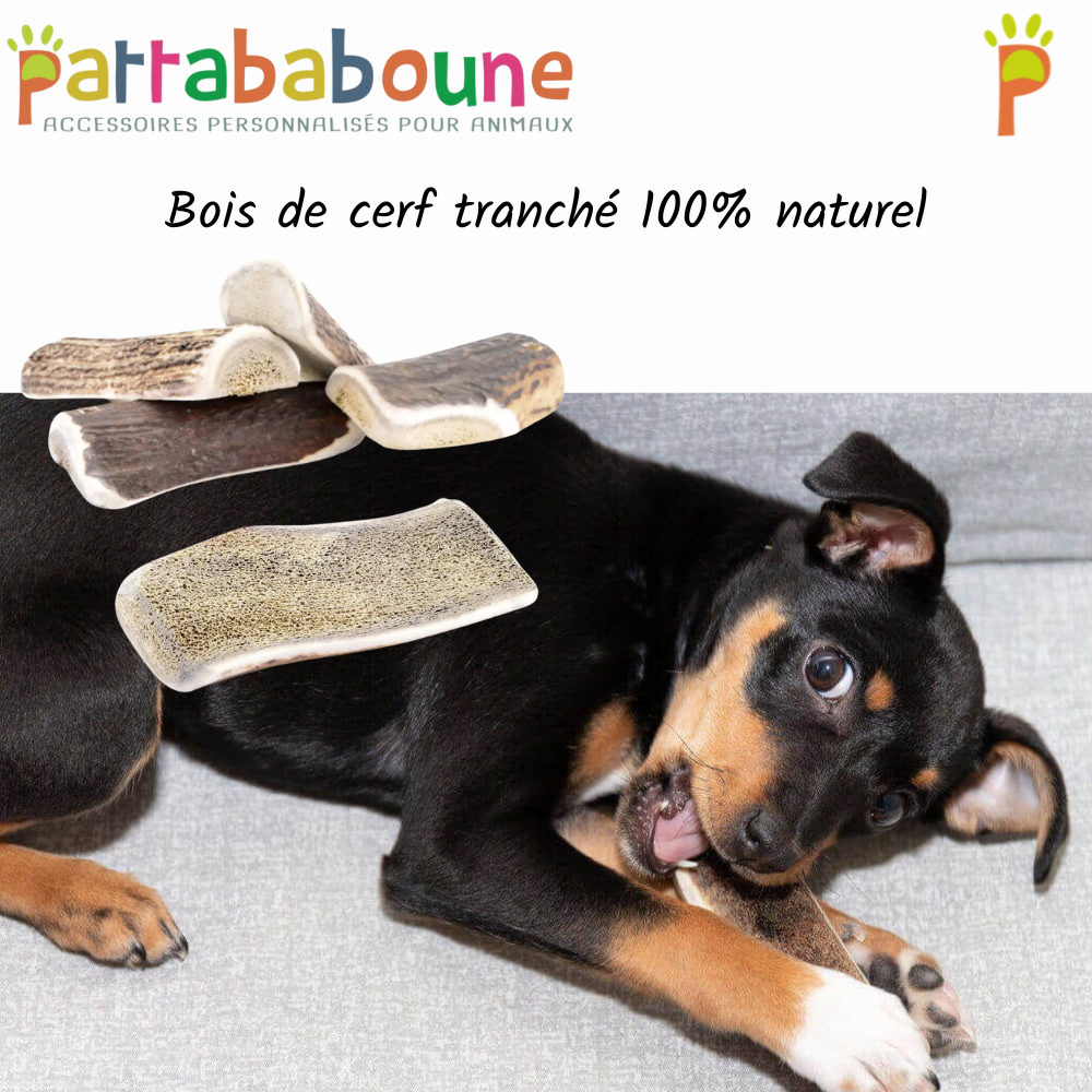 Bois de cerf tranché pour chien 100 % naturel
