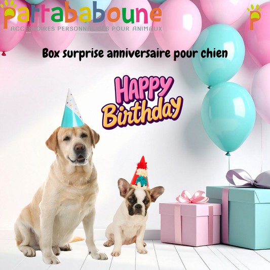 Box surprise anniversaire pour chien - Pattababoune