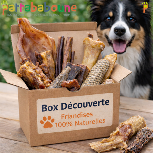 Box friandises découverte pour chien - 100% naturelle