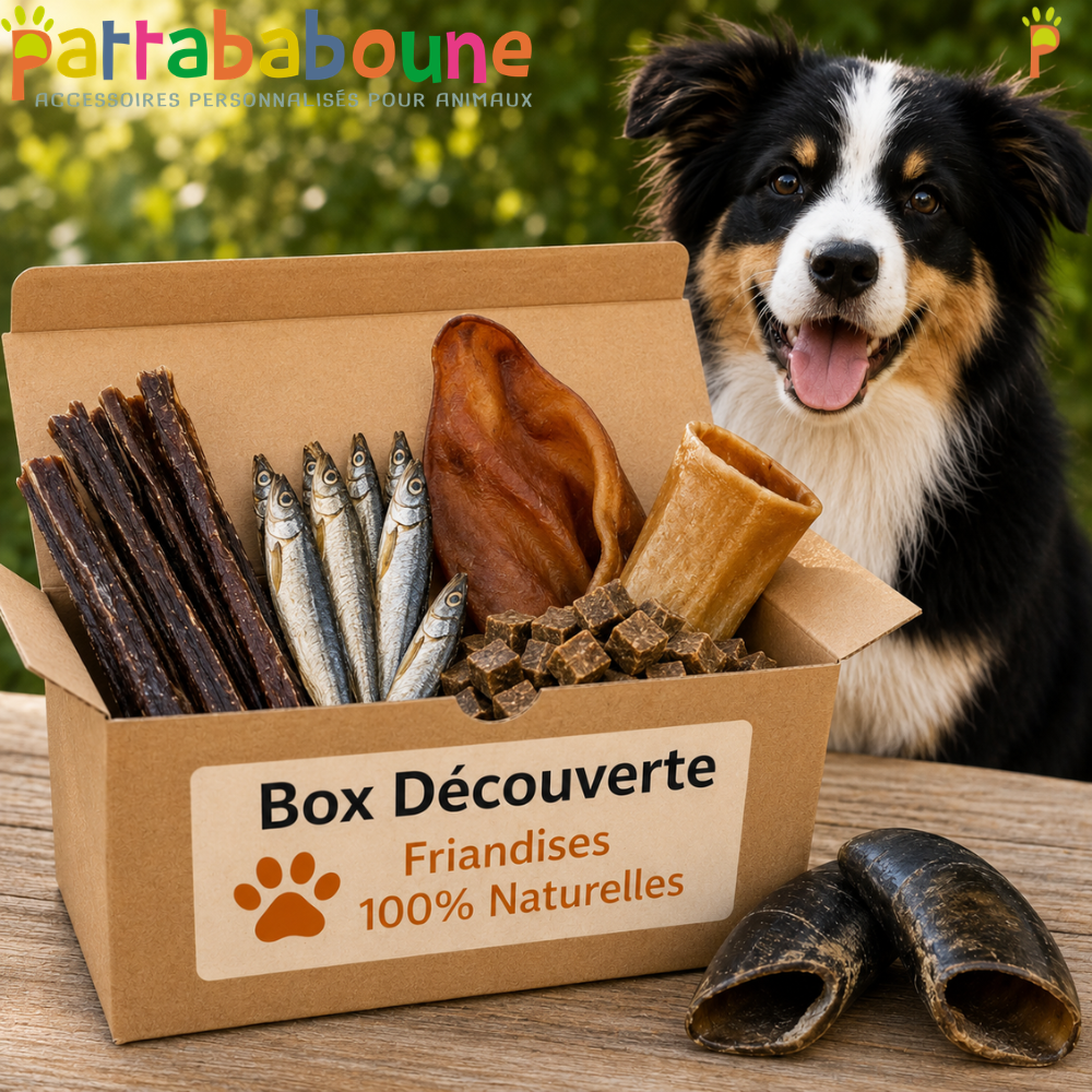 Box friandises découverte pour chien 100% naturelle | Pattababoune