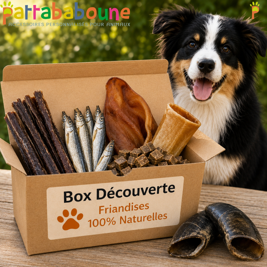 Box friandises découverte pour chien 100% naturelle | Pattababoune