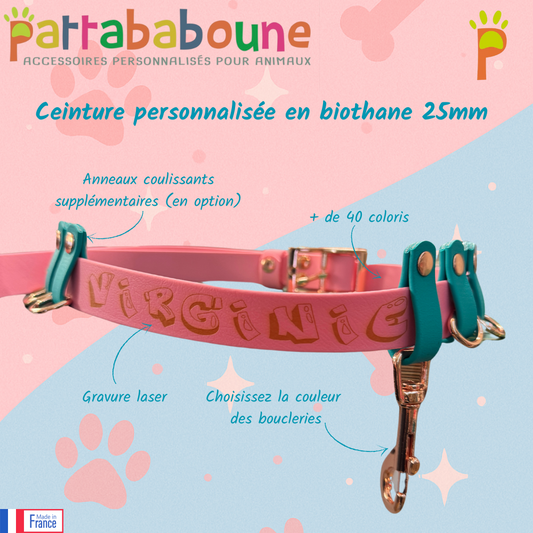 Ceinture personnalisée Impa en biothane 25 mm