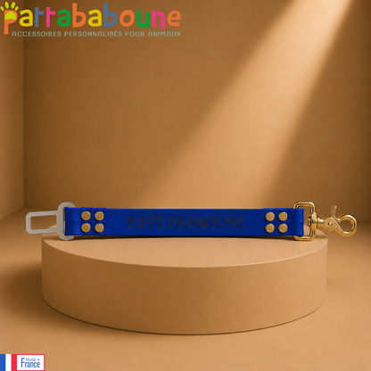 Customized car seat belt for dogs and cats - 25mm Biothane