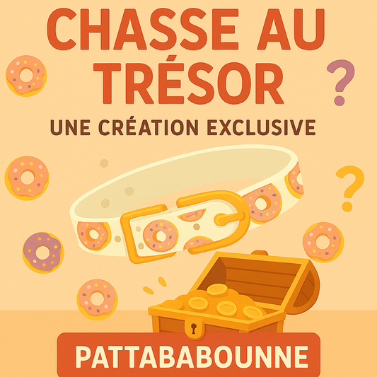 CHASSE AU TRÉSOR (2 exemplaires Disponibles!!!!!)