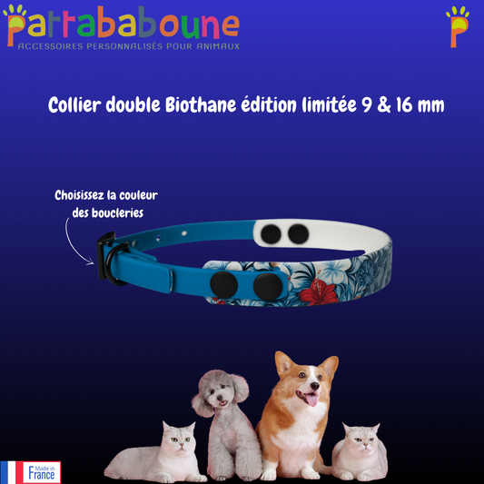 Collier double Biothane - Édition limitée 9 & 16 mm